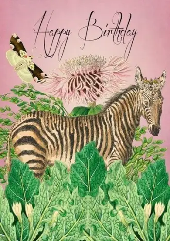 Kartolinë urimi Madame Treacle Birthday Zebra B6, me zarf, shumëngjyrëshe