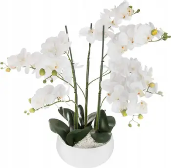 Vazo dekorative Atmosphera Orchid, qeramike, 25x65 cm, e bardhë