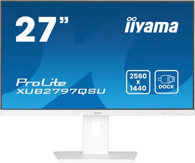Pamja 1