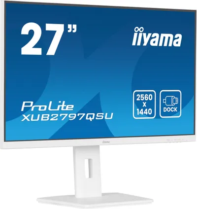 Pamja 3