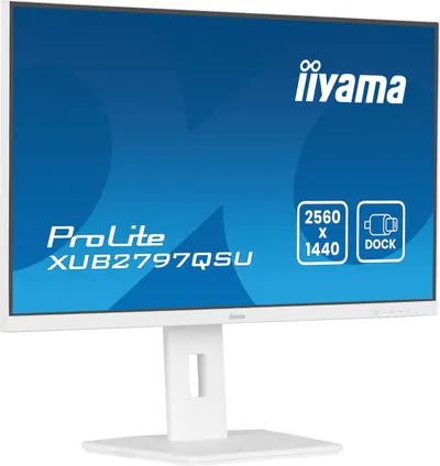 Pamja 4