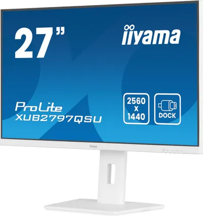 Pamja 5