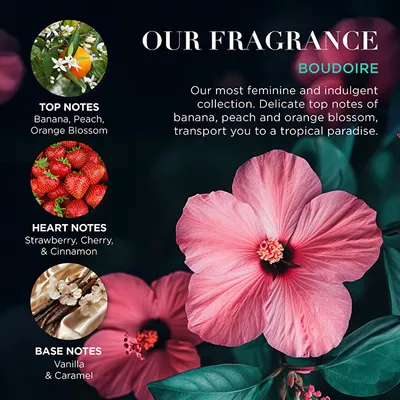 Set për trup Baylis & Harding Boudoire Tropical Paradise - 3