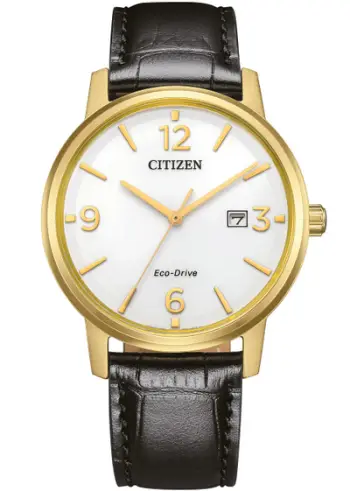 Ore Citizen BM6756-01A