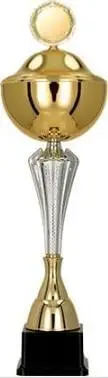Trofe sportiv Victoria Sport Metal Cup, 29cm, me kapak, argjend