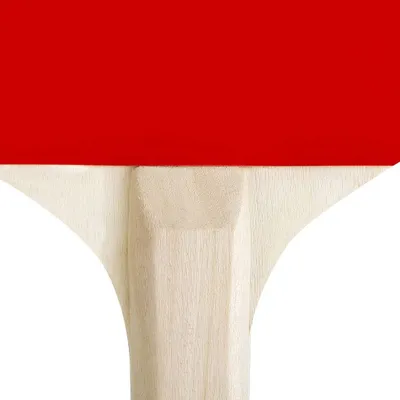 Pamja 2