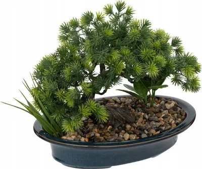 Bonsai artificial Atmosphera Jiling, vazo qeramike, 26cm, blu - 1