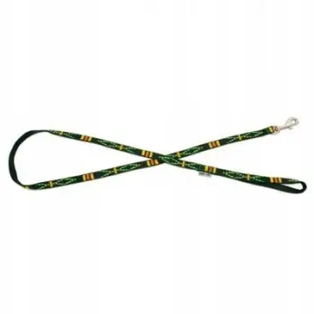 Leash për qen Barry King, shirit polipropileni 20mm, 120cm, jeshil me dizajn etnik