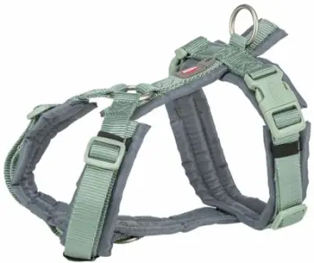 Set qafore dhe zinxhir për qen Trixie Premium Trekking, najlon, madhësia XS, jeshile sage grafit