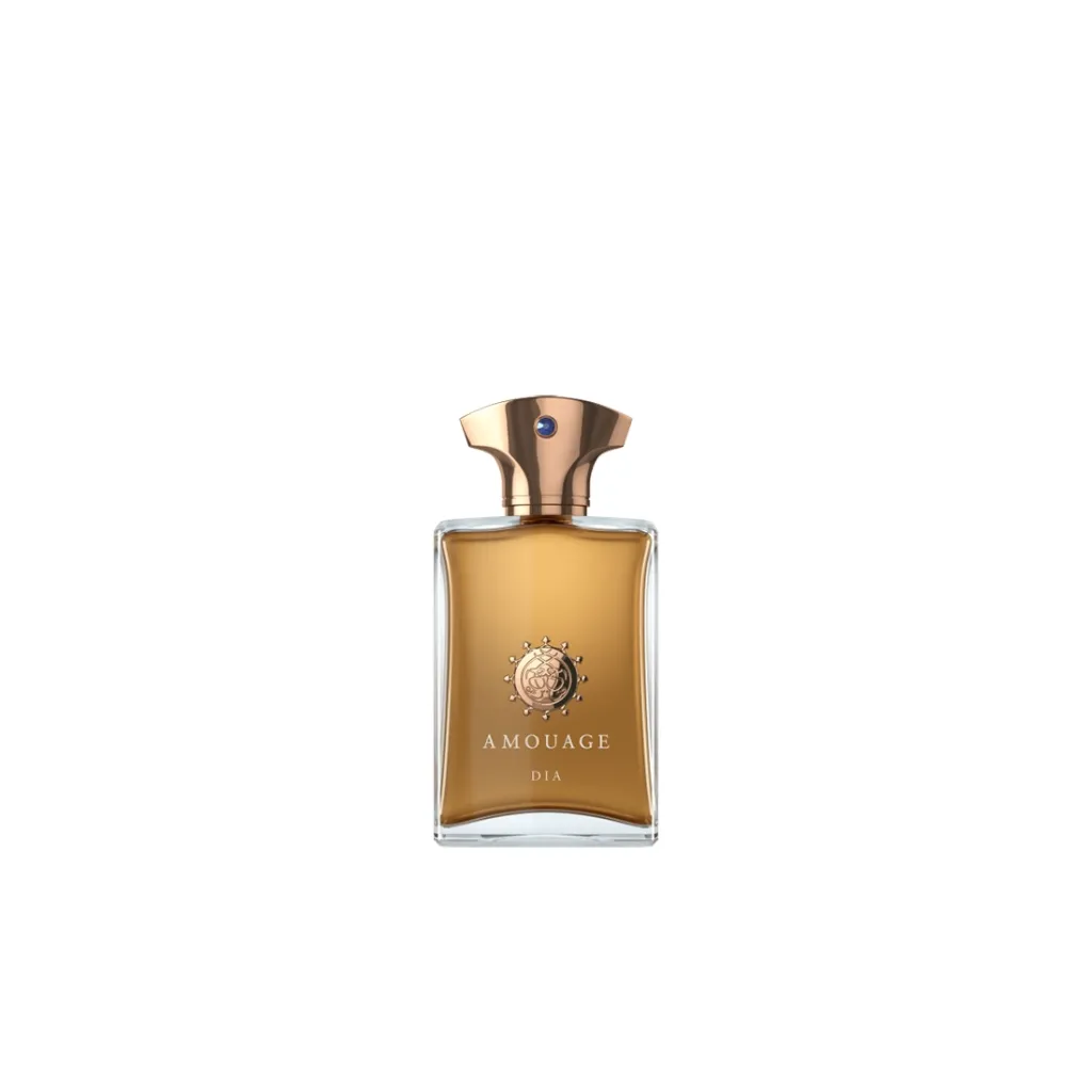 AMOUAGE DIA MAN EAU DE PARFUM - 1