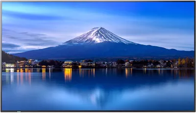 Monitor NEC MultiSync P656, 65", 4K, i zi - 1