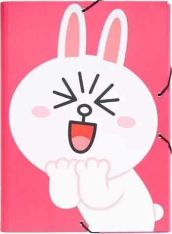 Folder dokumentesh Line Friends Brown, 24 x 34 cm, karton i fortë, dizajn ari