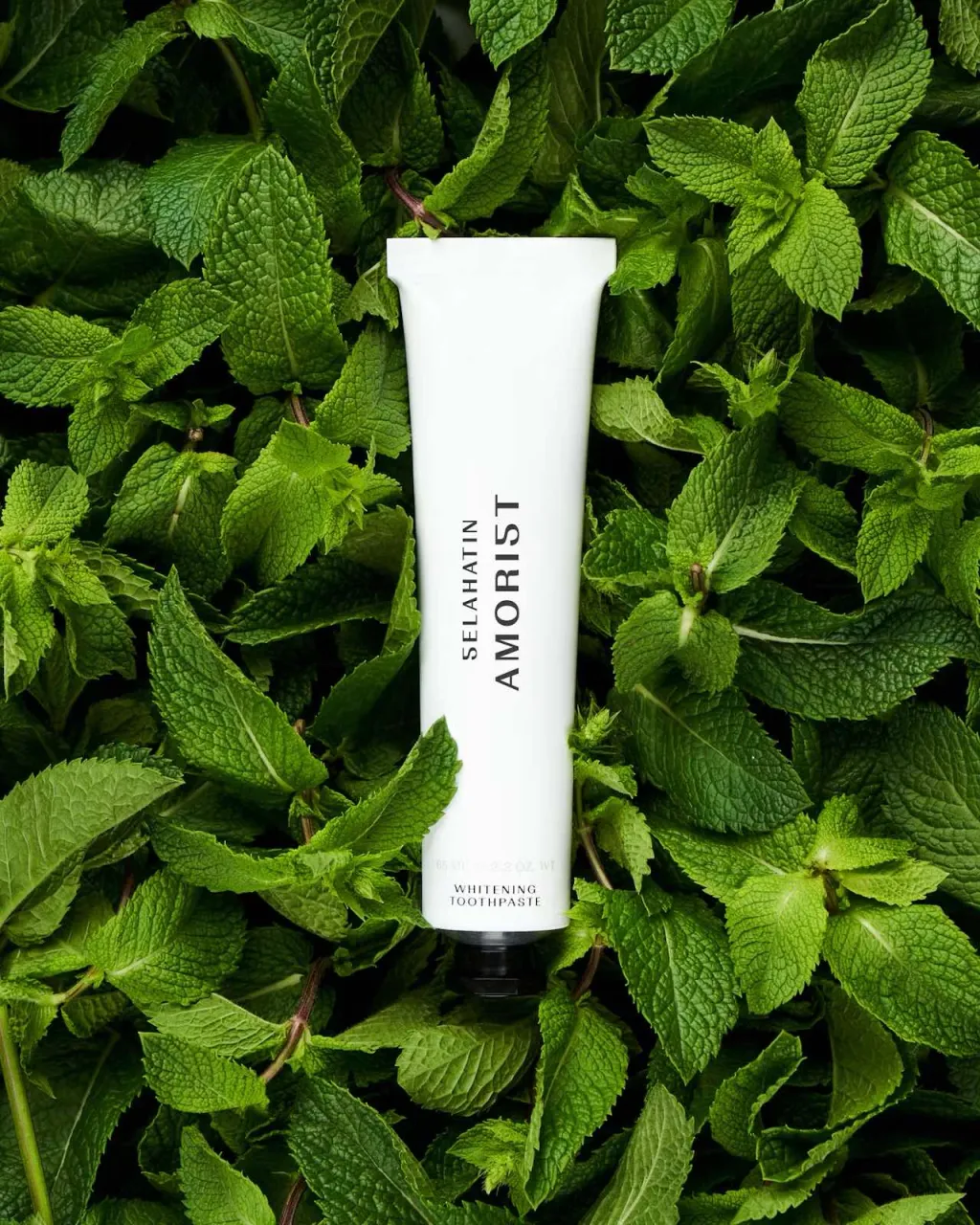 SELAHATIN Amorist Whitening Toothpaste - 2