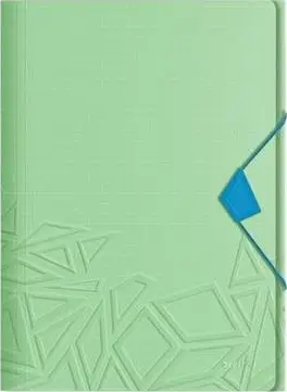 Set 10 dosje elastike Leitz Urban Chic, A4, PP, jeshile