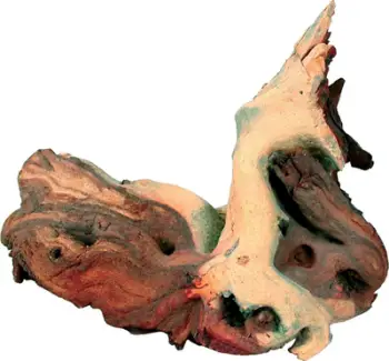 Rrënjë dekorative për akuarium Zolux Mopani Small, natyrale, për terrarium