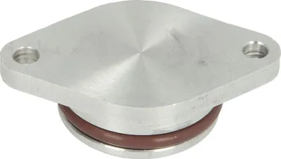 Kapuç kolektori ajri BMW Intake Manifold Plug 33mm, alumin - 1