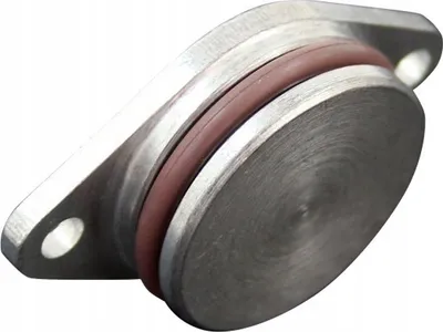 Kapuç kolektori ajri BMW Intake Manifold Plug 33mm, alumin - 2