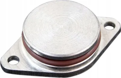 Kapuç kolektori ajri BMW Intake Manifold Plug 33mm, alumin - 3