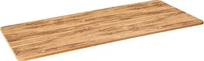 Tabaka tavoline Powerton ERGO UNO TOP, 160x75x1.8 cm, rustic oak - 1