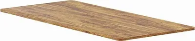 Tabaka tavoline Powerton ERGO UNO TOP, 160x75x1.8 cm, rustic oak - 2