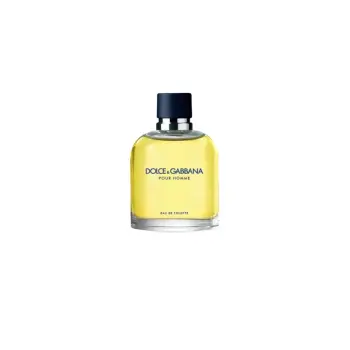 DOLCE & GABBANA Pour Homme Eau de Toilette