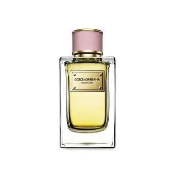 Dolce & Gabbana Velvet Love