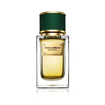Dolce & Gabbana Velvet Vetiver