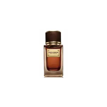 Dolce & Gabbana Velvet Amber Sun