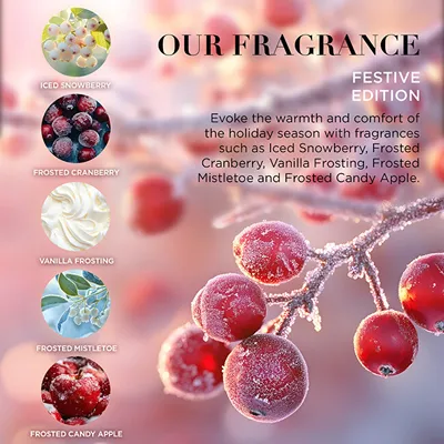 Set Baylis & Harding Festive Edition, bombë për banjo 3x 100 g - 3