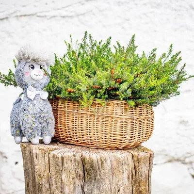Lodër pelushi INNOGIO Alpaca Soft, 30 cm, gri - 4