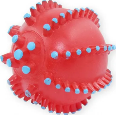 Pamja 1