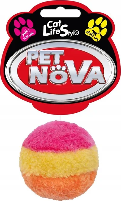 Pamja 1