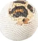Pamja 1