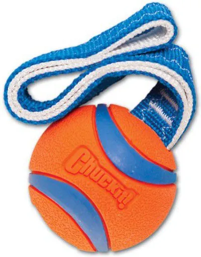 Lodër për qen Chuckit Ultra Fetch Rugged, top gome me dorezë, madhësia Medium, portokalli - 2