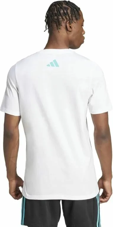 Pamja 3