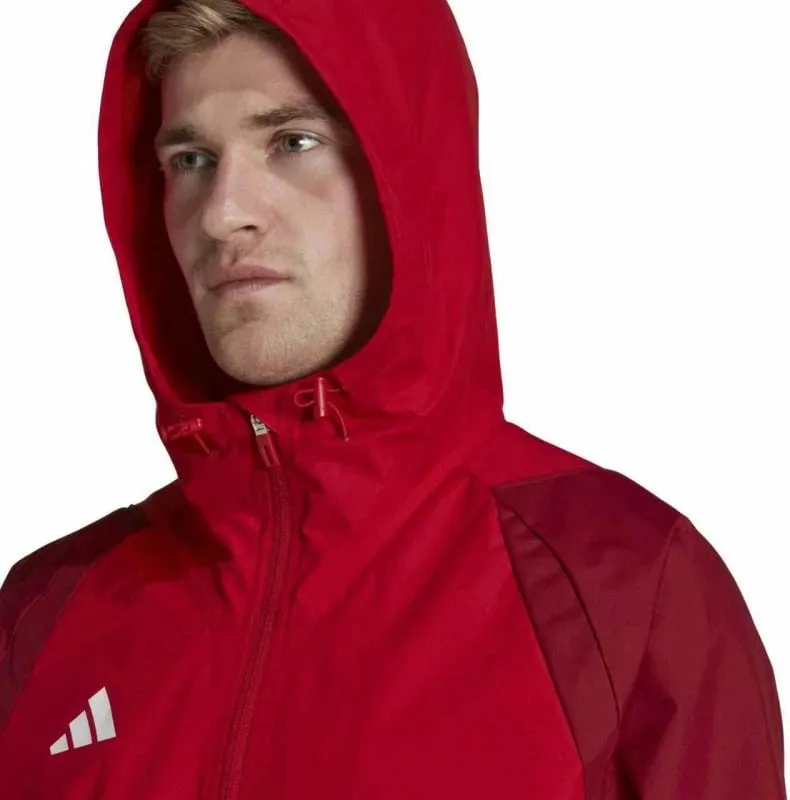 Pamja 4