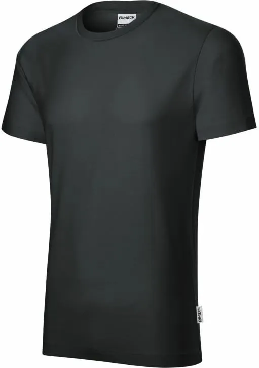 Pamja 3