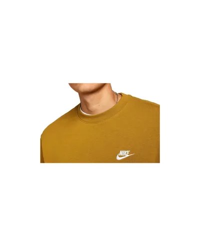 Pamja 3