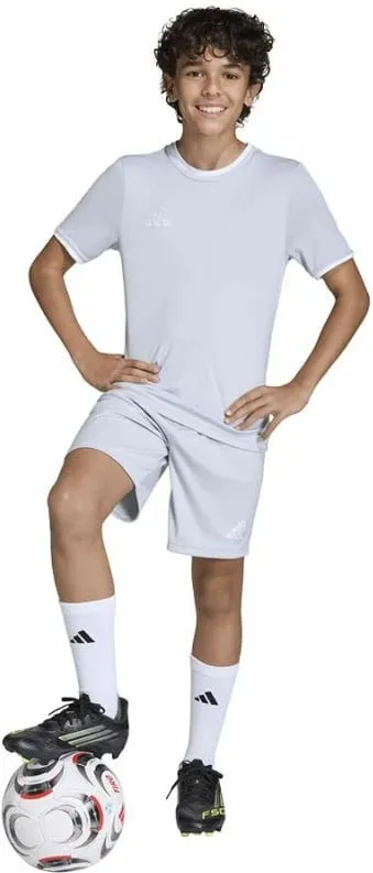 Pamja 3