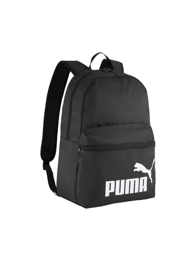 Pamja 1