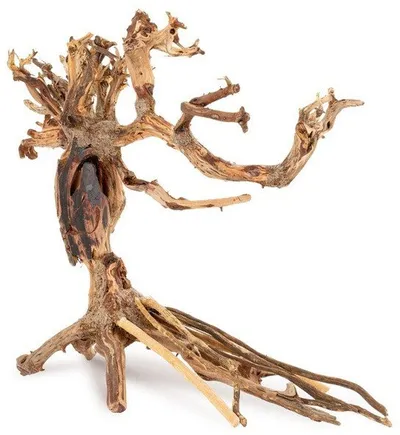 Druri dekorativ për akuarium Norimpex Tonce Bonsai 14, 40x30 cm, dru natyral - 2
