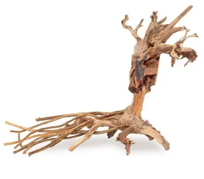 Druri dekorativ për akuarium Norimpex Tonce Bonsai 14, 40x30 cm, dru natyral - 3