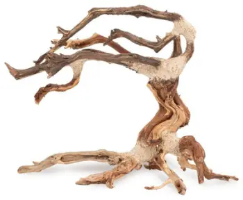 Pemë dekorative Tonce Bonsai Tree No.24, 30x25 cm, jeshile