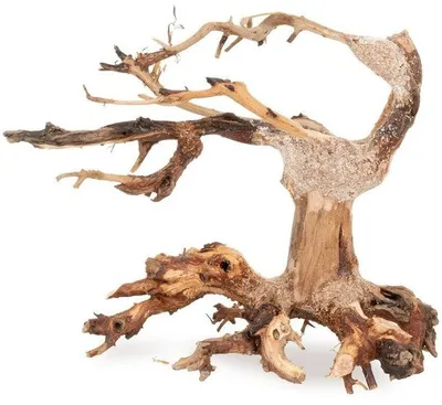 Pemë dekorative Tonce Bonsai No.24, 20x15 cm, jeshile - 1