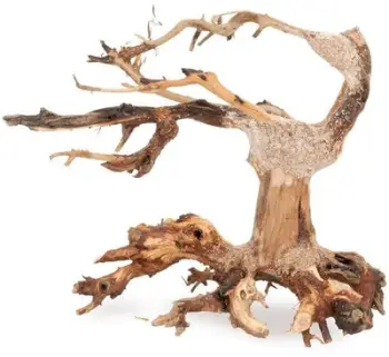 Pemë dekorative Tonce Bonsai No.24, 20x15 cm, jeshile
