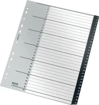 Ndarës dosjesh Leitz Recycle Index PP Extra Wide, A4, 1 31, shumëngjyrësh