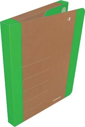 Pamja 1