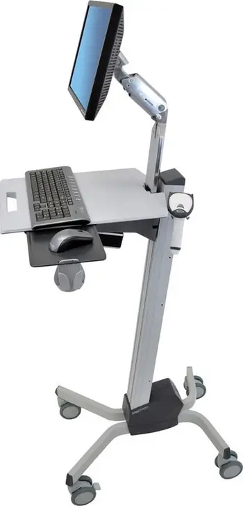 Mbajtëse monitori Ergotron Neo-Flex LCD, 22", e hirtë
