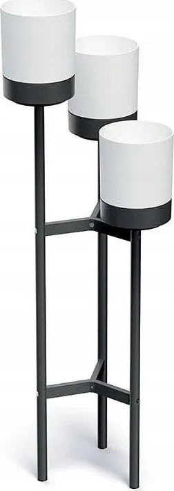 Pamja 1