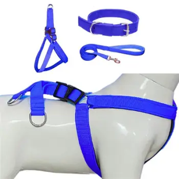 Litar per kafshë 3cm*120cm , blu dhe e kuqe . UNIMIKS